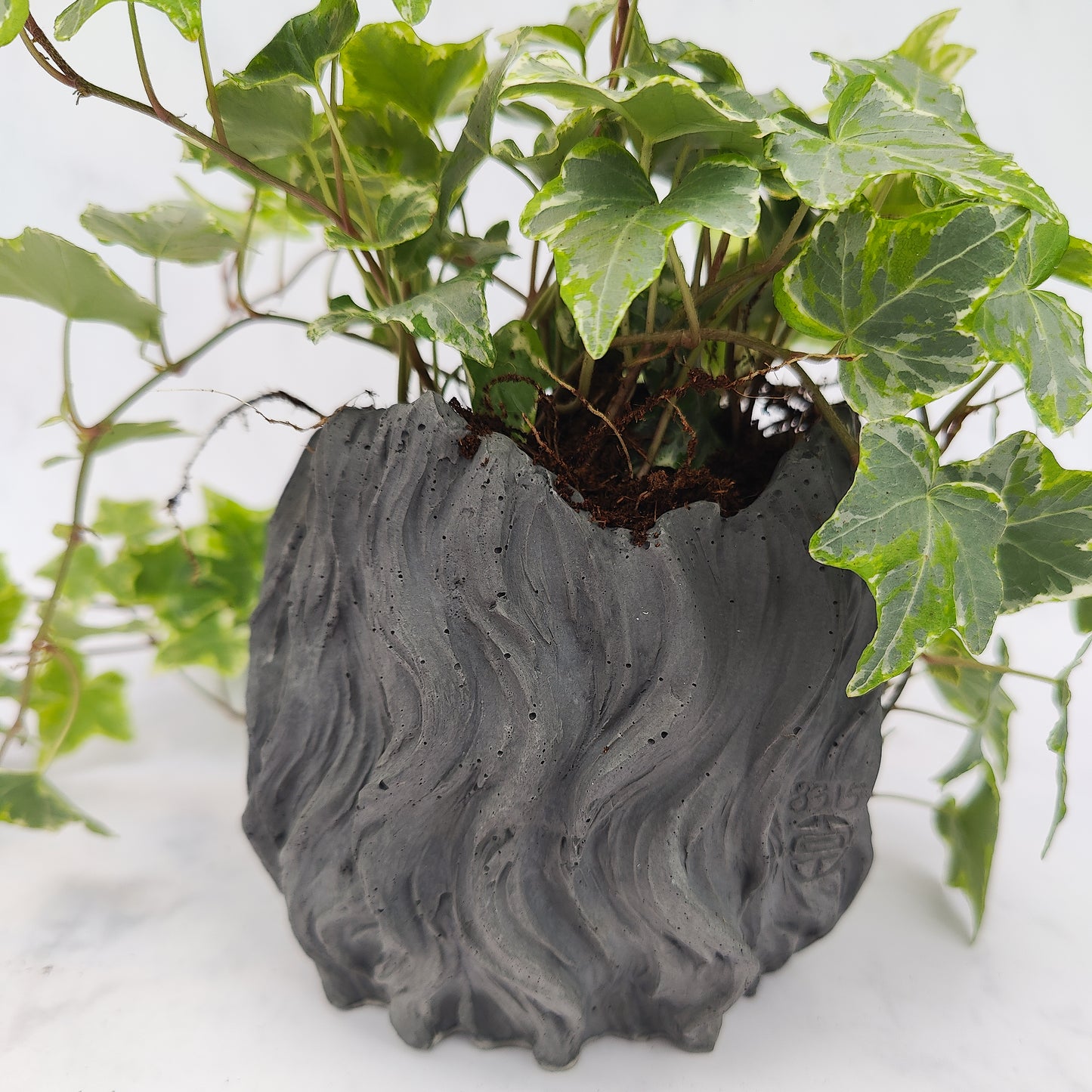 Charcoal Jesmonite Lion Head Plant Pot