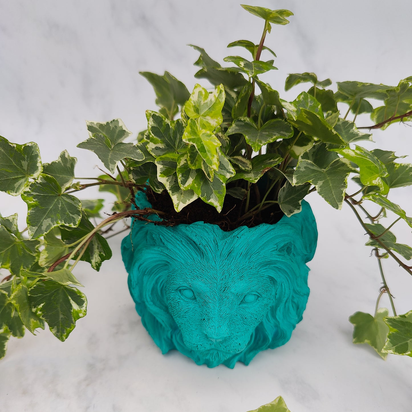 Aqua Jesmonite Lion Head Plant Pot