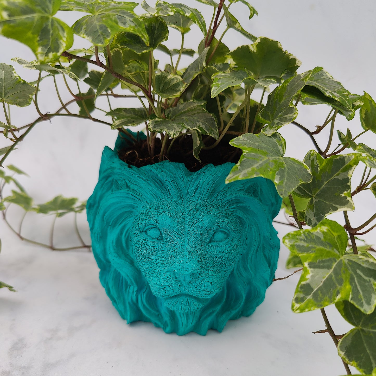 Aqua Jesmonite Lion Head Plant Pot