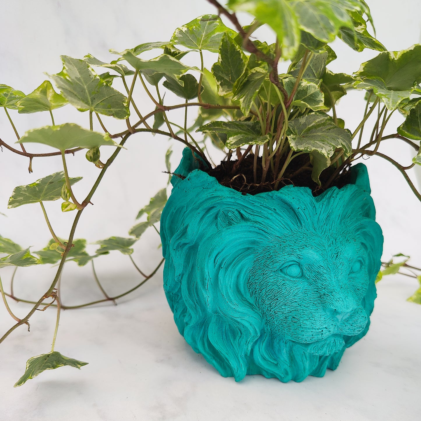 Aqua Jesmonite Lion Head Plant Pot