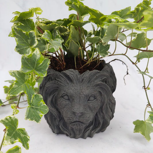 Charcoal Jesmonite Lion Head Plant Pot