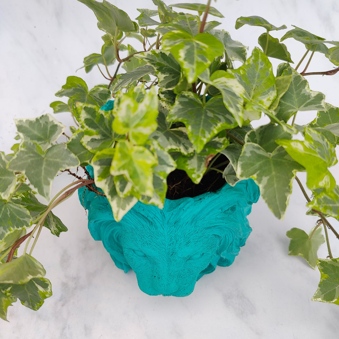 Aqua Jesmonite Lion Head Plant Pot