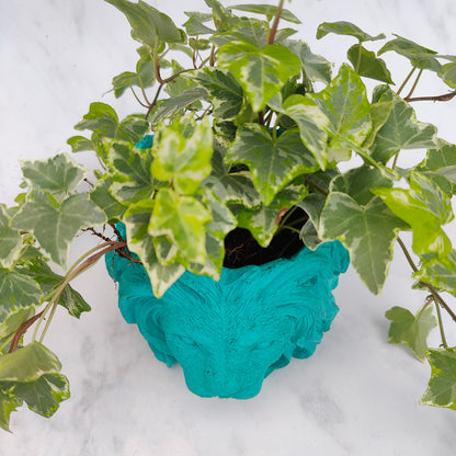 Aqua Jesmonite Lion Head Plant Pot