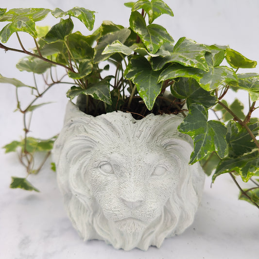 White Jesmonite Lion Head Plant Pot