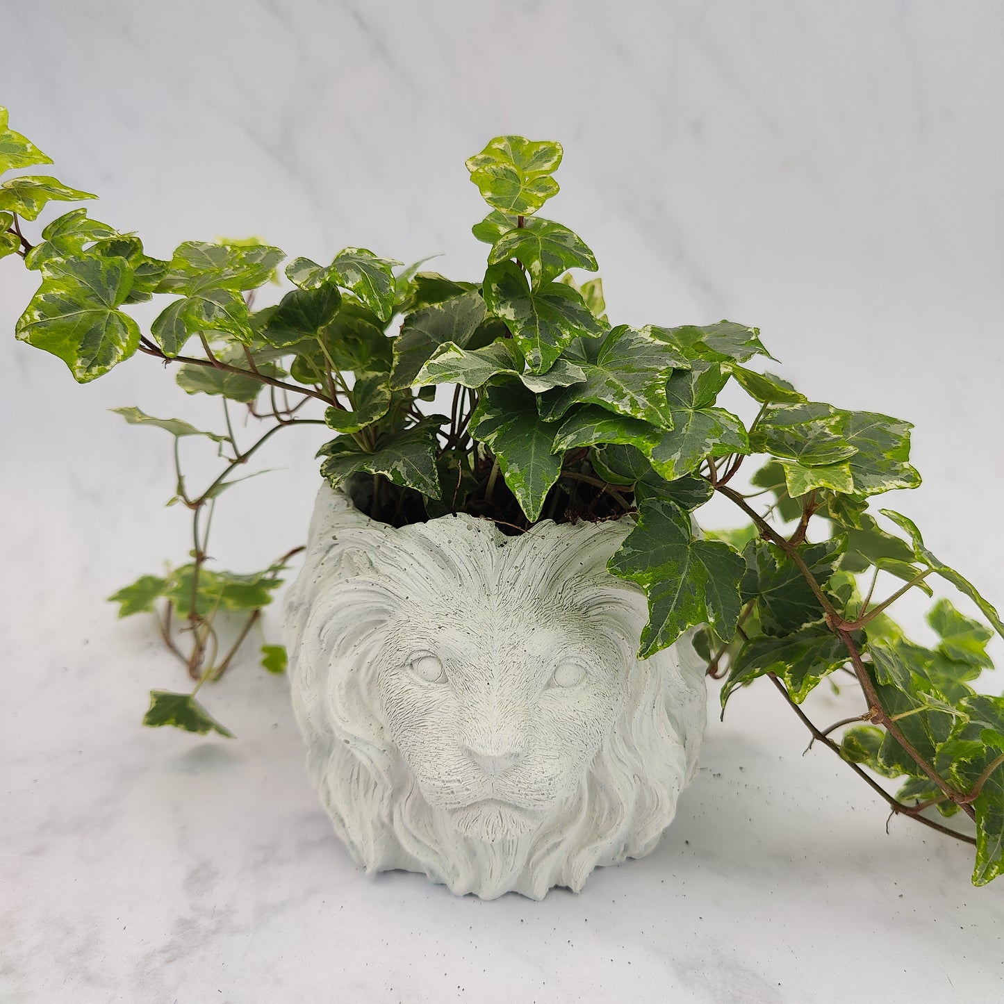 White Jesmonite Lion Head Plant Pot