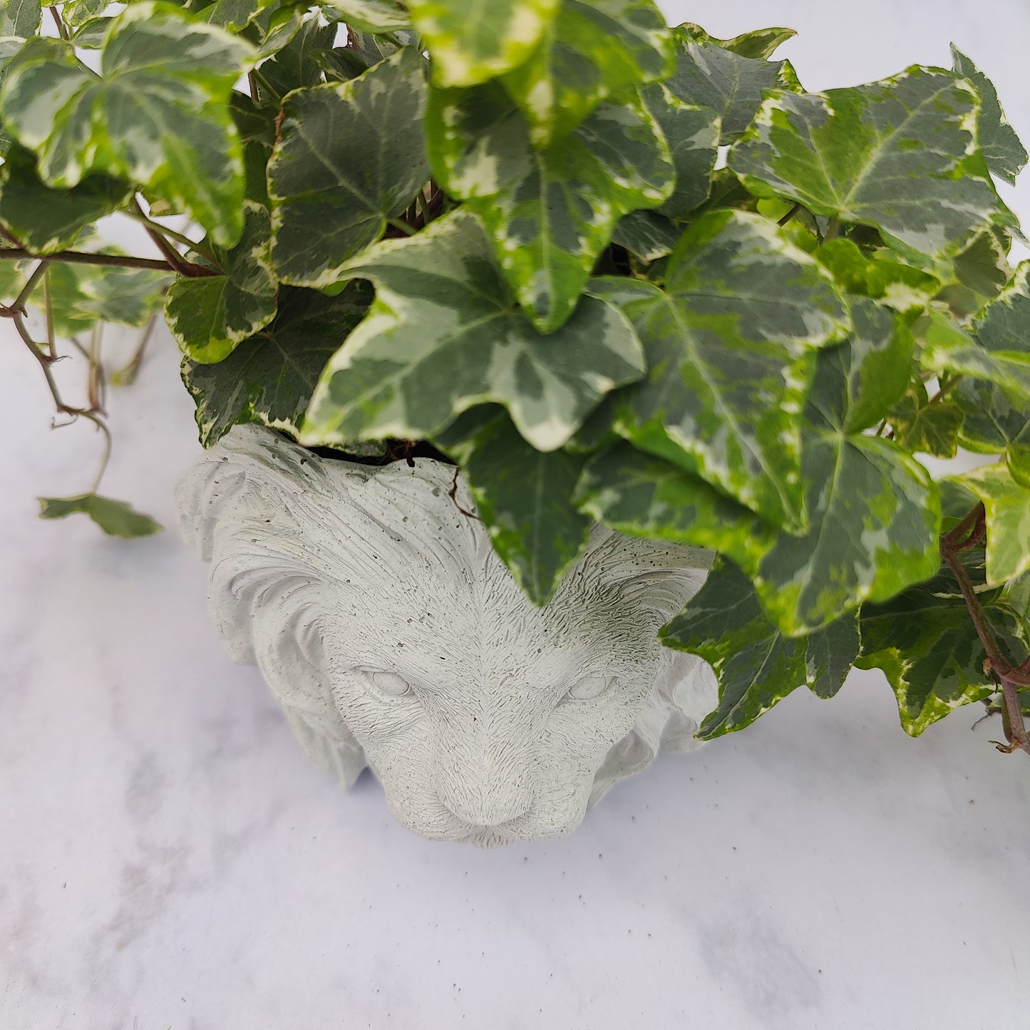 White Jesmonite Lion Head Plant Pot