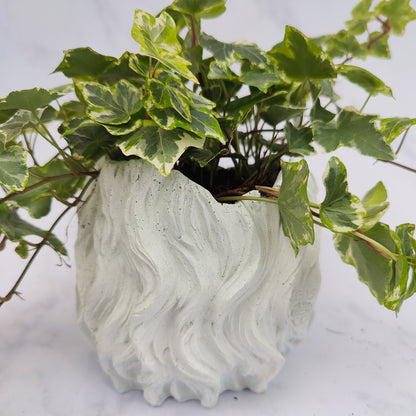 White Jesmonite Lion Head Plant Pot
