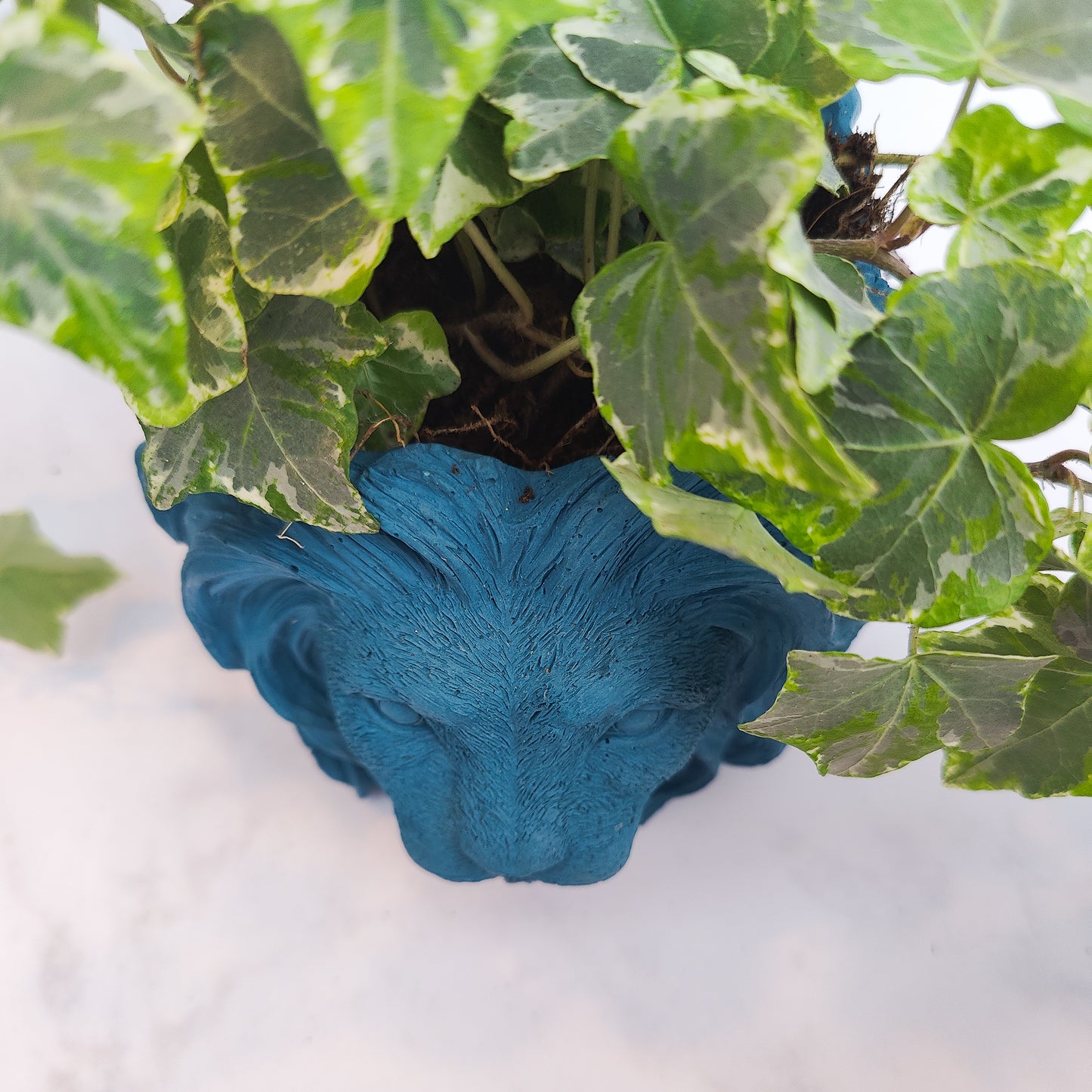 Teal Jesmonite Lion Head Plant Pot